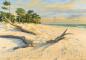 Preview: Strand
