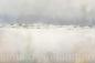 Preview: Meer