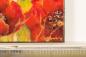Preview: Mohnblumen
