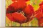 Preview: Mohnblumen