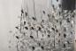 Preview: ohne Titel