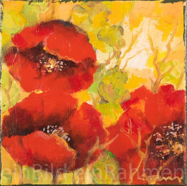 Mohnblumen