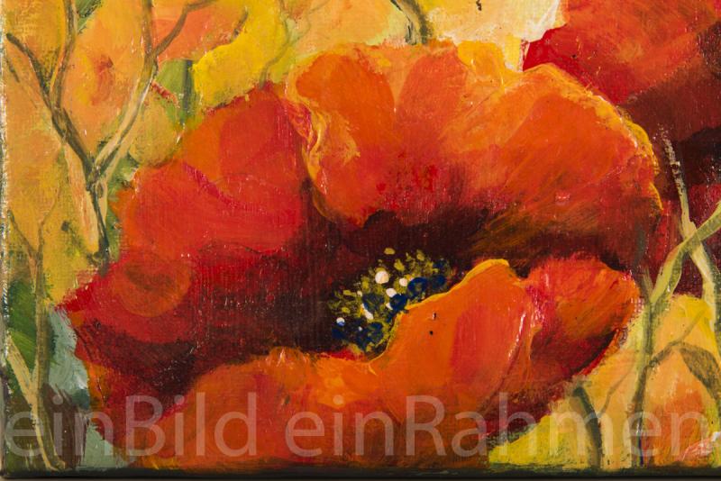 Mohnblumen
