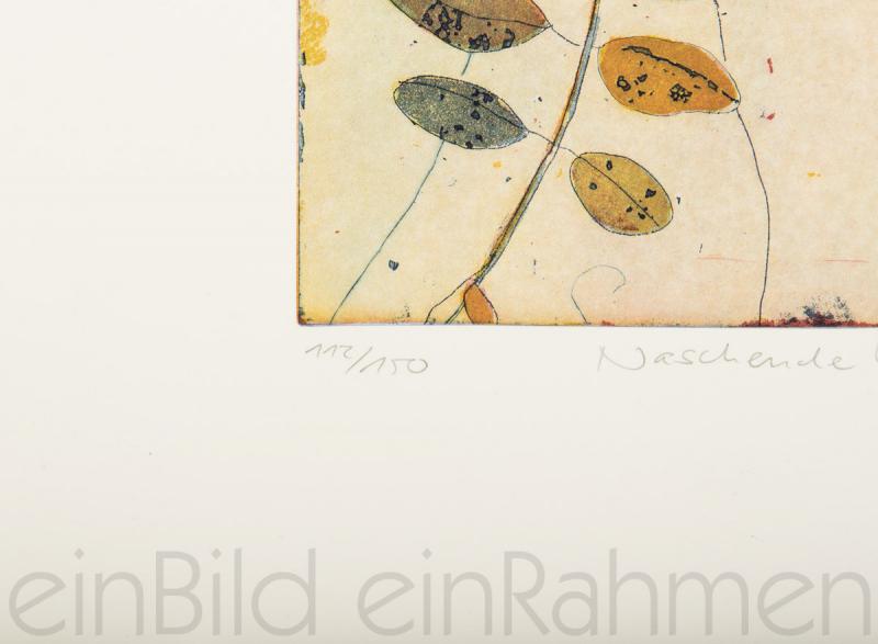 Farblithographie auf Büttenpapier von der Künstlerin Jutta Votteler in der Kunstgalerie einBild einRahmen in Regensburg