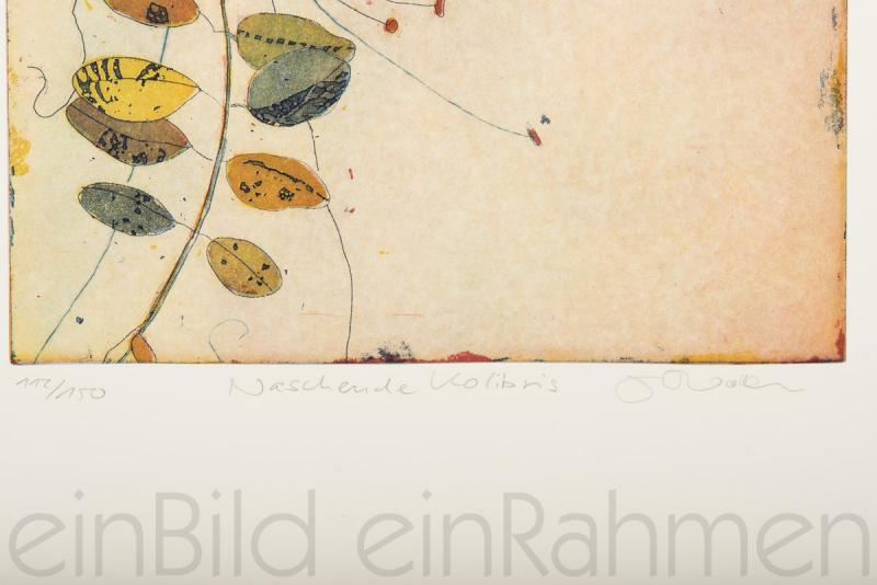 Farblithographie auf Büttenpapier von der Künstlerin Jutta Votteler in der Kunstgalerie einBild einRahmen in Regensburg