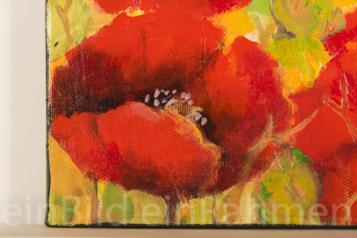 Mohnblumen
