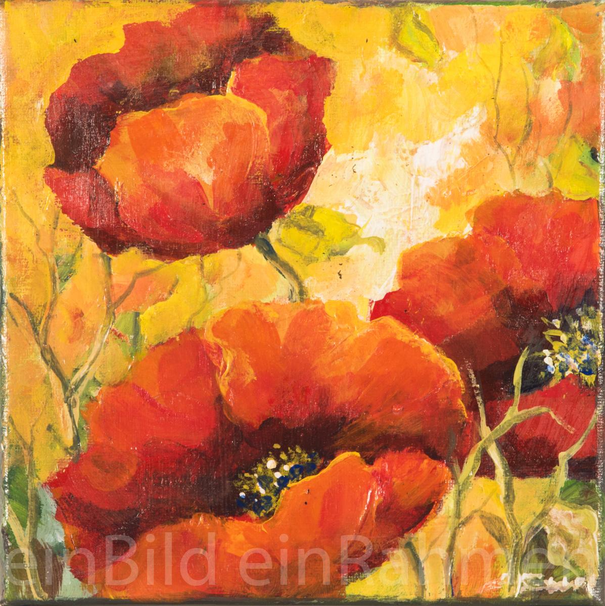 Mohnblumen
