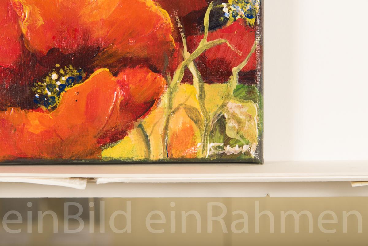 Mohnblumen